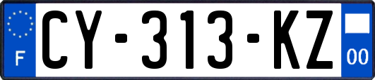 CY-313-KZ