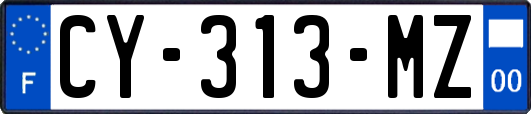 CY-313-MZ