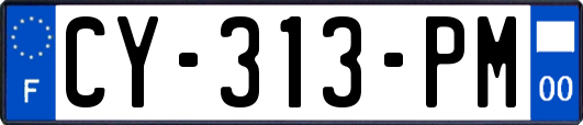 CY-313-PM