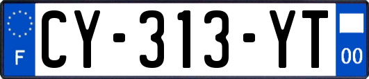 CY-313-YT