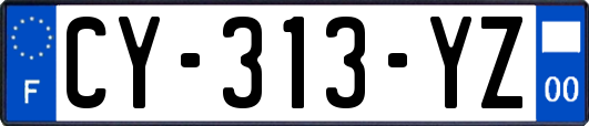 CY-313-YZ