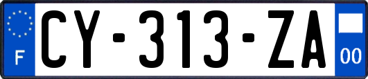 CY-313-ZA