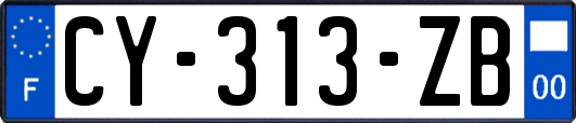 CY-313-ZB