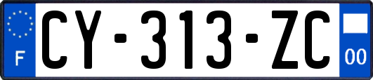CY-313-ZC