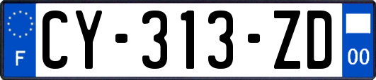 CY-313-ZD