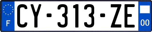 CY-313-ZE
