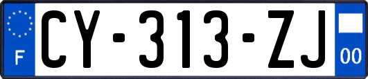 CY-313-ZJ