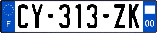 CY-313-ZK