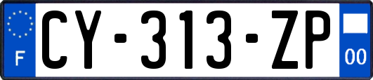 CY-313-ZP
