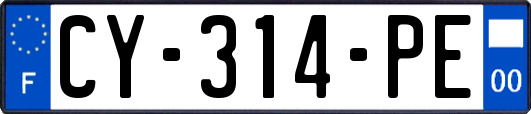 CY-314-PE