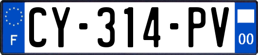 CY-314-PV