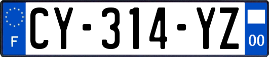 CY-314-YZ