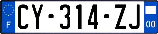 CY-314-ZJ