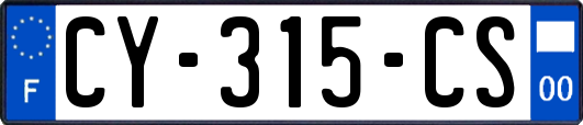 CY-315-CS