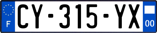 CY-315-YX
