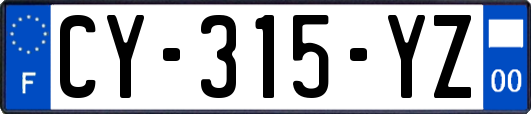 CY-315-YZ