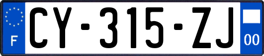 CY-315-ZJ