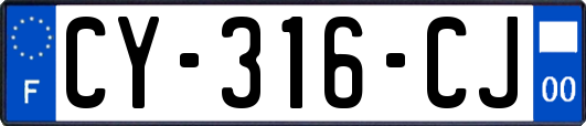 CY-316-CJ