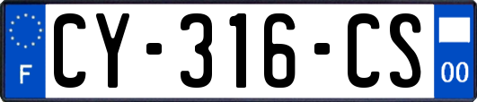 CY-316-CS