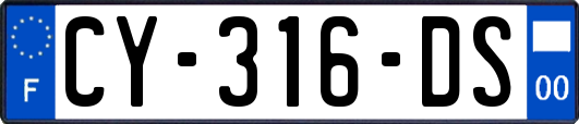 CY-316-DS