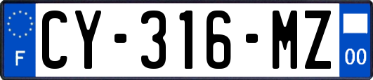 CY-316-MZ