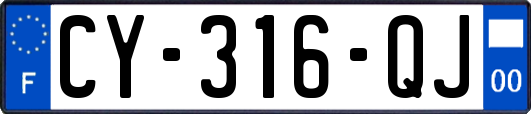 CY-316-QJ