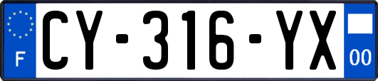 CY-316-YX