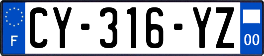 CY-316-YZ