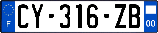 CY-316-ZB