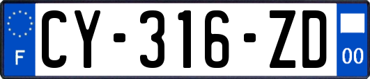 CY-316-ZD