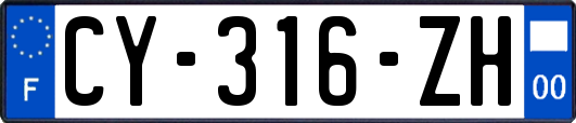 CY-316-ZH