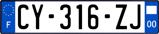 CY-316-ZJ