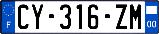 CY-316-ZM