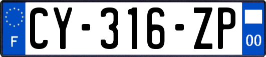 CY-316-ZP