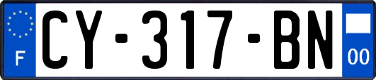 CY-317-BN