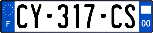 CY-317-CS