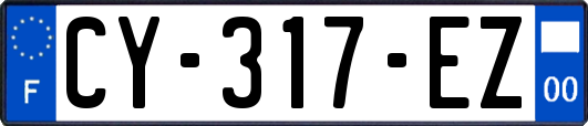 CY-317-EZ