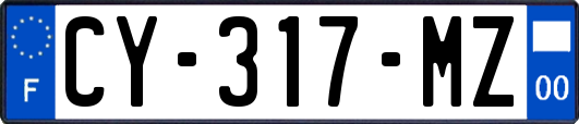 CY-317-MZ