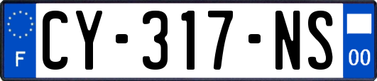 CY-317-NS