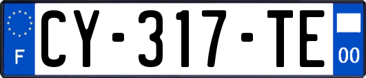 CY-317-TE