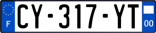 CY-317-YT