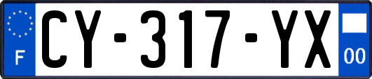 CY-317-YX