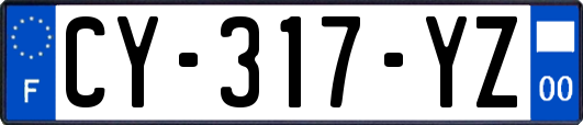 CY-317-YZ