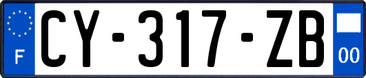 CY-317-ZB