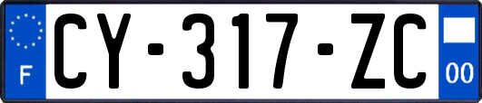 CY-317-ZC