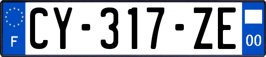CY-317-ZE