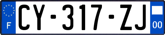 CY-317-ZJ
