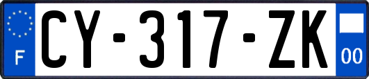 CY-317-ZK