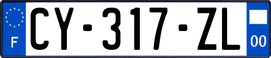 CY-317-ZL