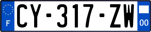CY-317-ZW